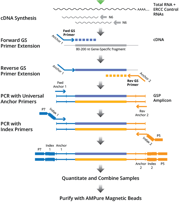 Drivermap Hgwv2 Targeted Gene Expression Profiling Workflow