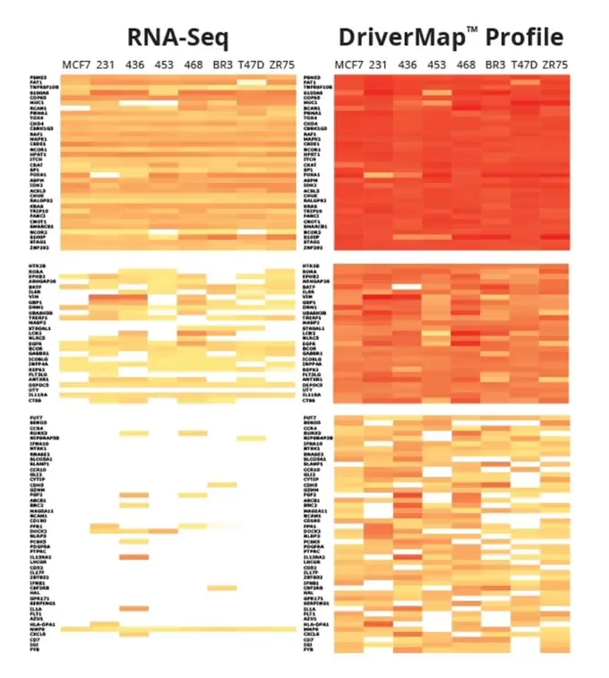 Drivermap Vs Rna Seq