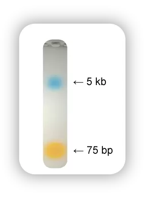 Econotaq Plus Tracking Dye