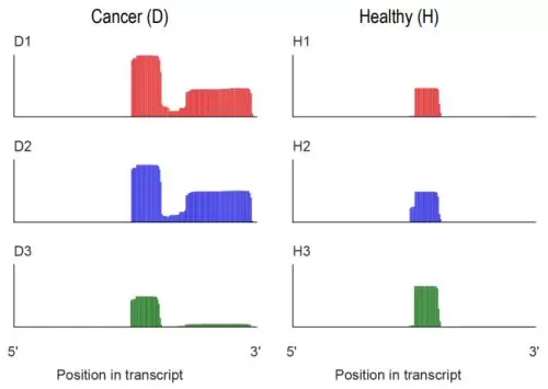 Fig3 Ribomarkerrnafragmentomicslibrarykit