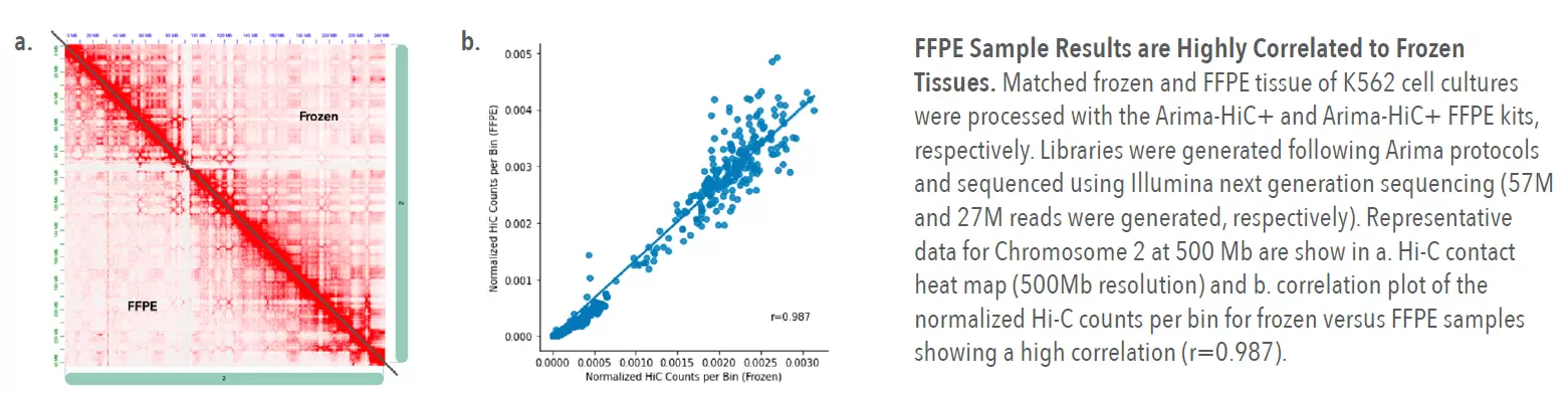 Hi-C FFPE Sample Results