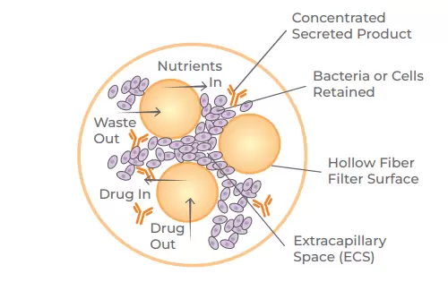 How Hollow Fibers Work 2