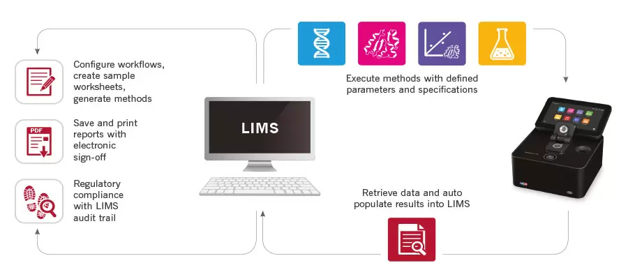 Limps Ingegration Implen