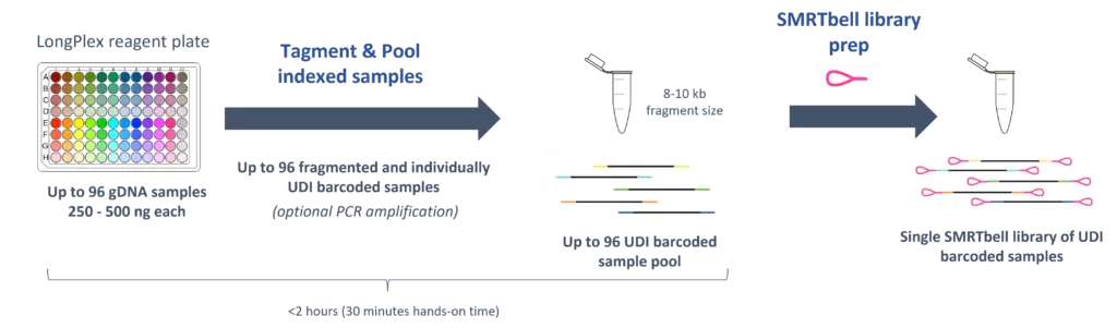 Longplex Molecular Workflow 1 1024x301