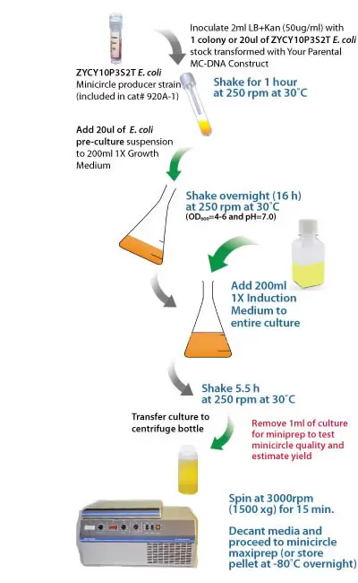 Mceasy Flowchart Optim 400re