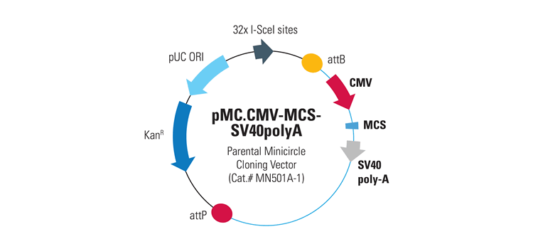 Minicircle Mn501a 750z