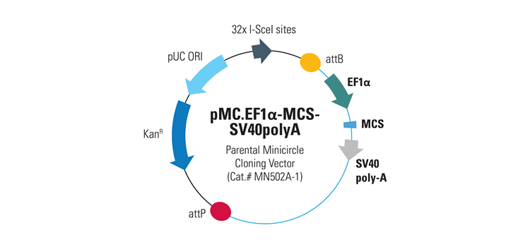 Minicircle Mn502a 750z