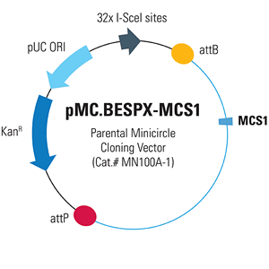 Mn100a Pmc.bespx Mcs1 300