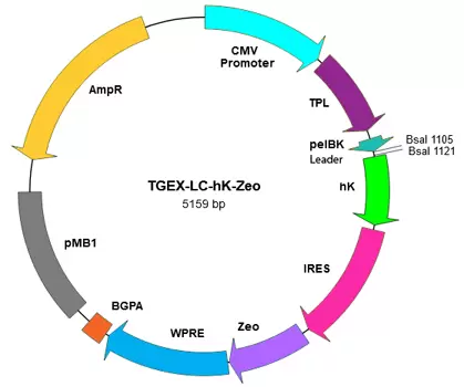 Mx030 Tegx Lc Hk Zeo Map