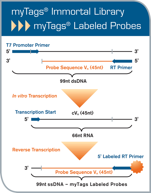 Mytags Immortal Library Labeled Probes 500