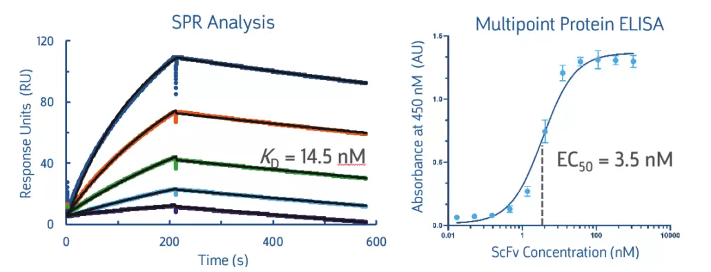 Mytxtl Ds Kit Fig3 1030x394