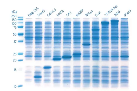 Mytxtl Pro Fig2