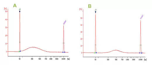 P 1059 Fig.2 Aub