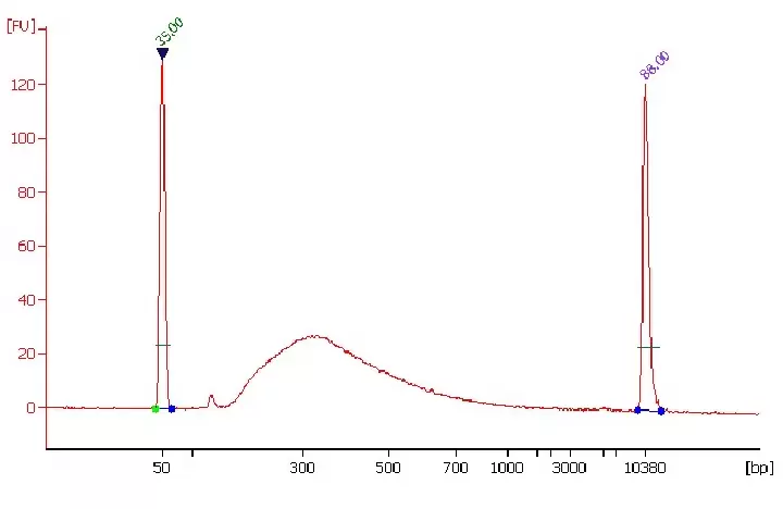 P 1071 Data2