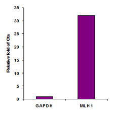 P1015bdiagram