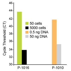 P1016diagram V2