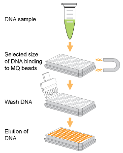 P1059schematic