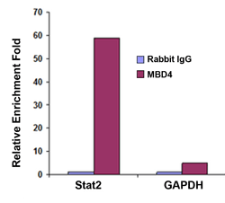 P2002data1