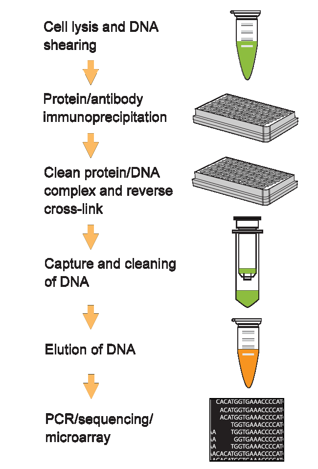 P2002schematic