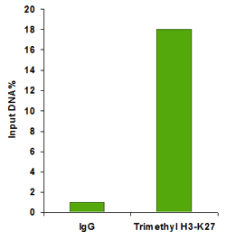 P2022data1