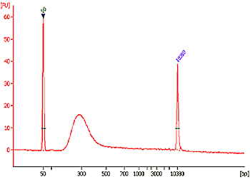 P2030data2