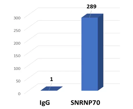 P2037data1