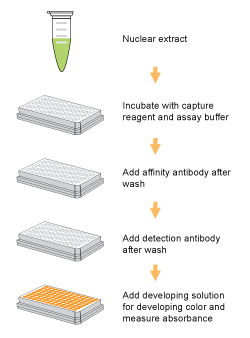 P3012schematic