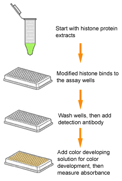 P3100schematic