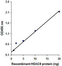 P4007data1