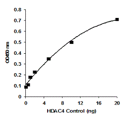 P4042data1