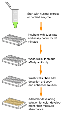 P4046schematic