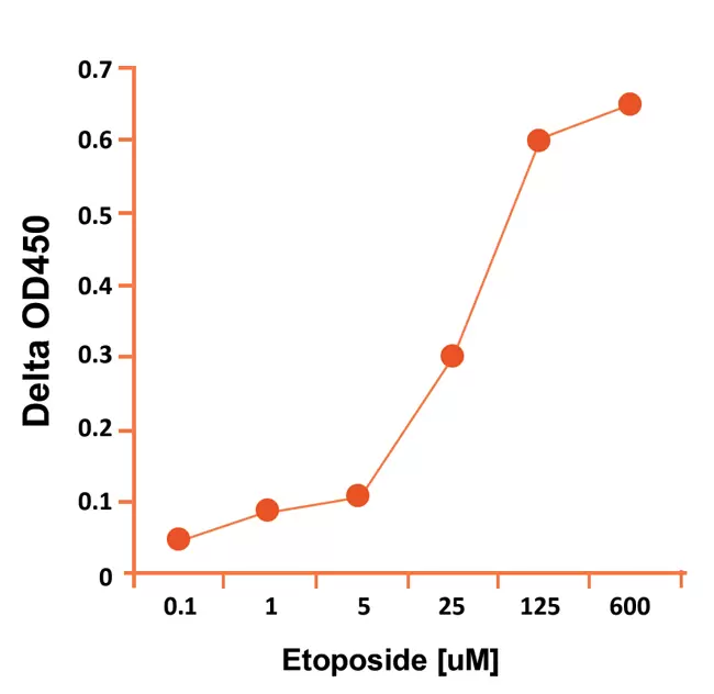 P6001data1