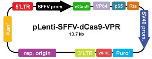 Plenti Sffv Dcas9 Vpr