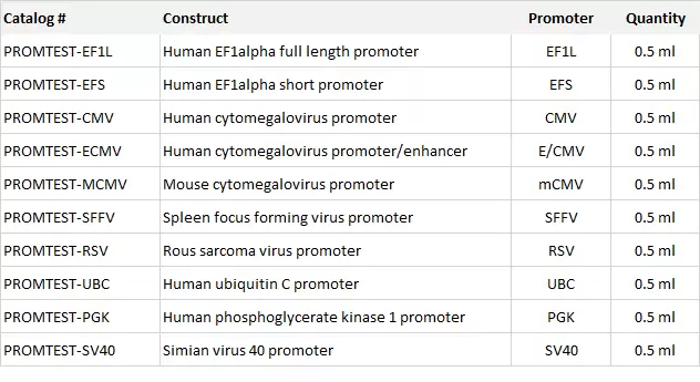 Promtest Tabelle Promoter Constructs