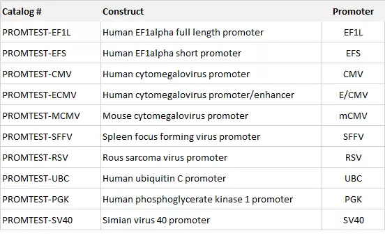 Promtest Tabelle Promoter Constructs O Volume