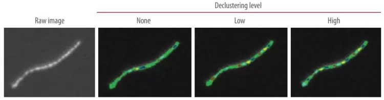 Quantom Declustering