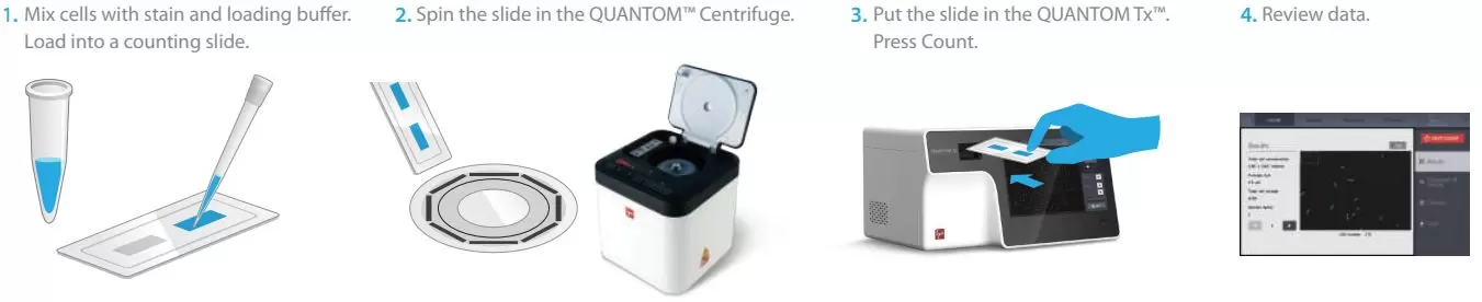 Quantom Workflow