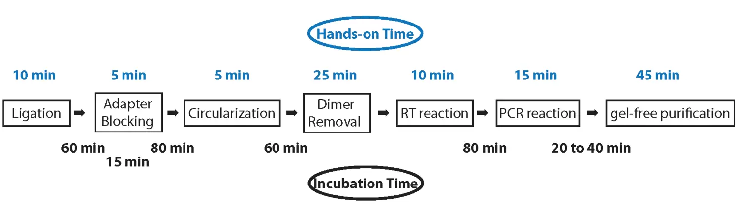 Realseq Work Schematic