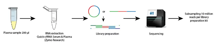 Realseq Bofluids Workflow