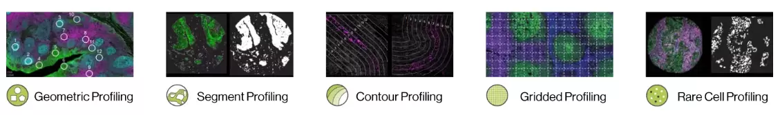 Spatial Profiling Profiling Modalities