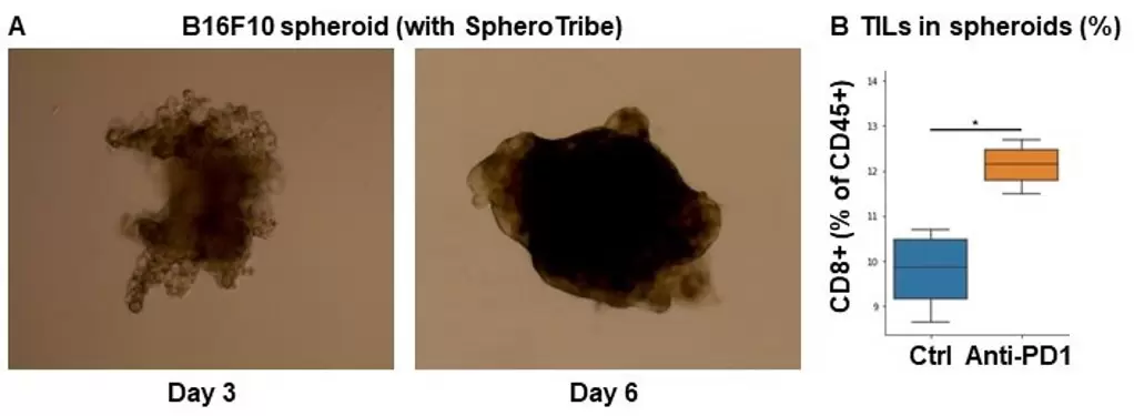 Spherotribe Fig2 Immune Infiltration