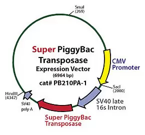 Superpb Maps Pb210pa 1 290