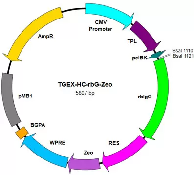 Tegx Hc Rbg Zeo Map Mx039